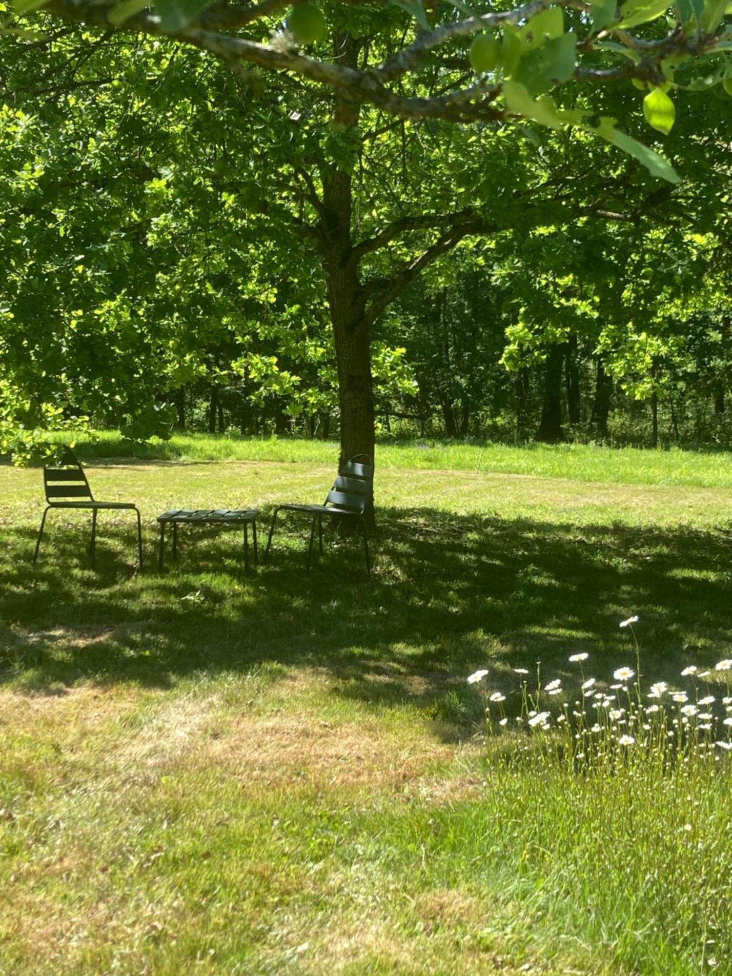 Les Bois De Ravel Chambres D'Hotes Zewnętrze zdjęcie