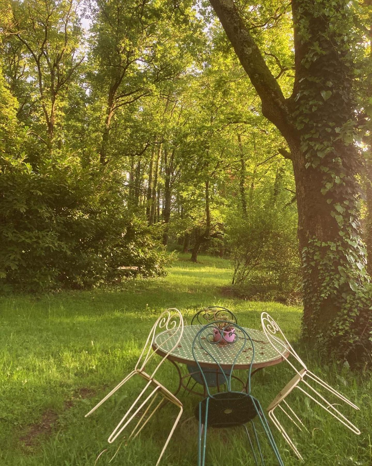 Les Bois De Ravel Chambres D'Hotes Zewnętrze zdjęcie